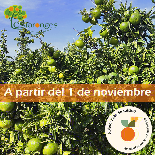 Nueva Temporada Nuleta